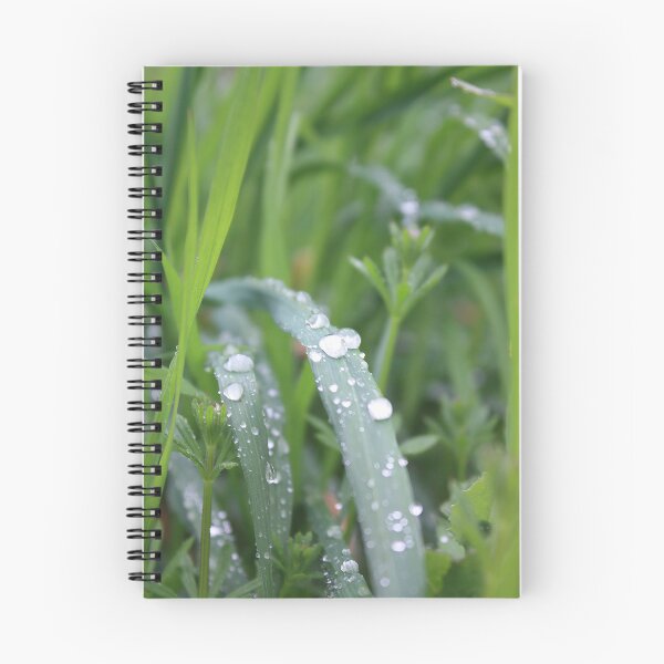 Item preview, After the rain designed and sold by ANAEZ.