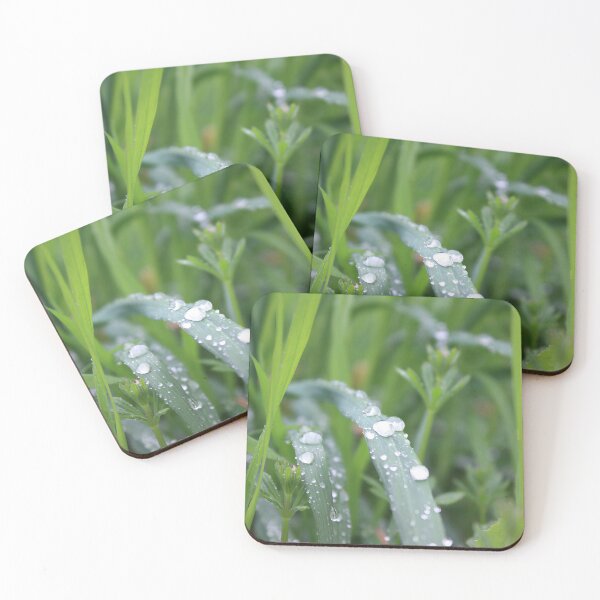Item preview, After the rain designed and sold by ANAEZ.