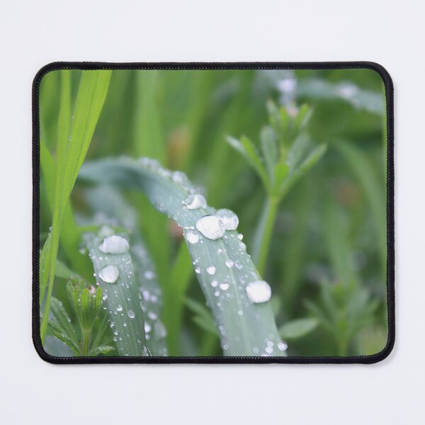 Item preview, After the rain designed and sold by ANAEZ.