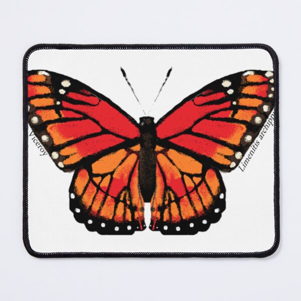 Item preview, Viceroy Butterfly designed and sold by Pennypaints.