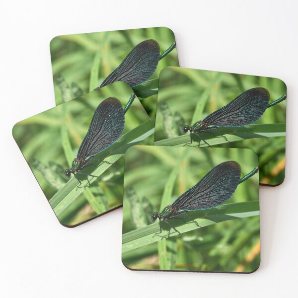 Item preview, Deep deep blue and metallic emerald. Beautiful demoiselle designed and sold by Jouko Lehto Photography.