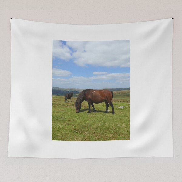 Item preview, Dartmoor Ponies designed and sold by Chris Petty.