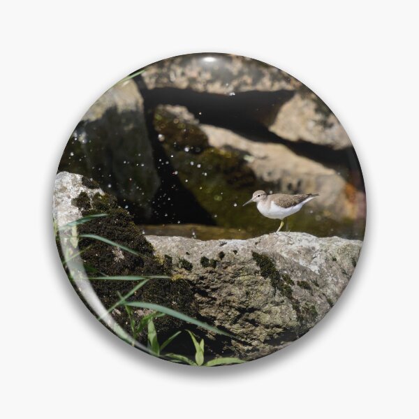 Artikelvorschau, Auf dem Stein. Flussuferläufer entworfen und verkauft von Jouko Lehto Photography.