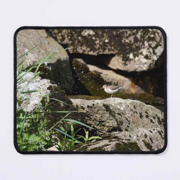 Item preview, On the stone. Common Sandpiper designed and sold by Jouko Lehto Photography.