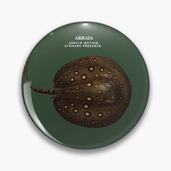 Item preview, Arraia designed and sold by AmazonSelf.