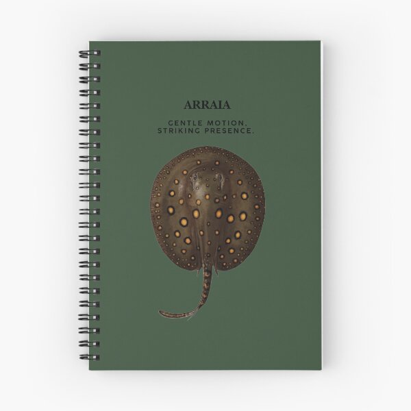 Item preview, Arraia designed and sold by AmazonSelf.