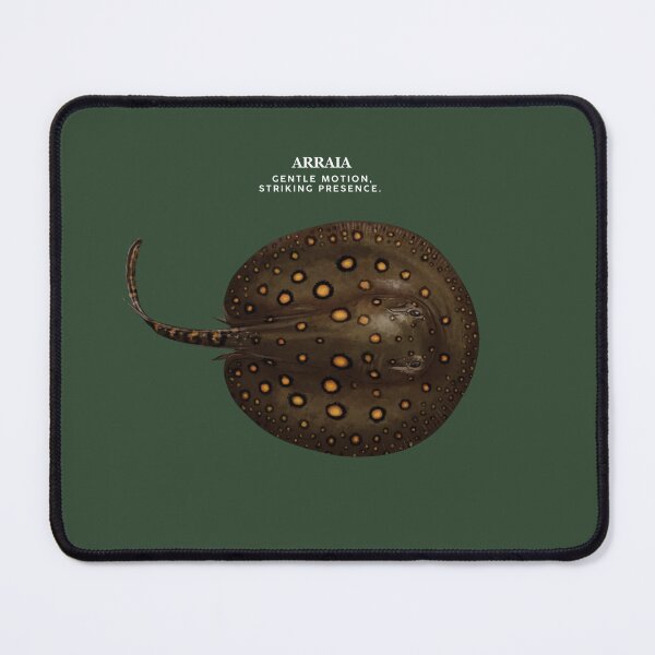 Item preview, Arraia designed and sold by AmazonSelf.