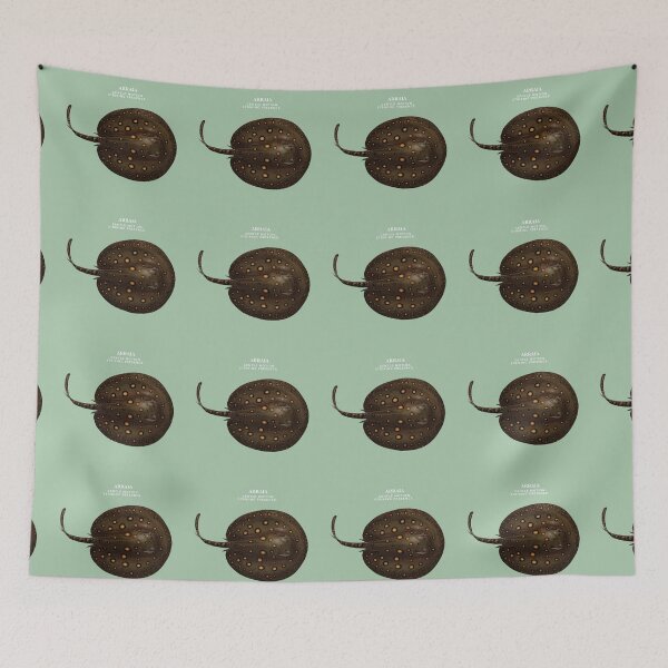 Item preview, Arraia designed and sold by AmazonSelf.
