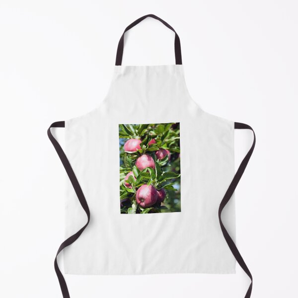 Item preview, Ripe Organic Red Delicious Apple Tree Orchard Okanagan Valley designed and sold by Kevin Miller Photography.