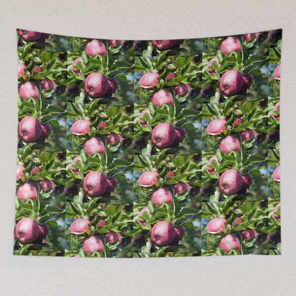 Item preview, Ripe Organic Red Delicious Apple Tree Orchard Okanagan Valley designed and sold by Kevin Miller Photography.