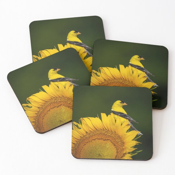 Item preview, American Goldfinch Posed on Sunflower  designed and sold by Shannon Emmel .