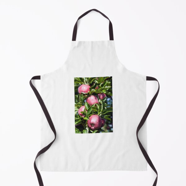 Item preview, Ripe Organic Red Delicious Apple Tree Orchard Okanagan Valley designed and sold by Kevin Miller Photography.