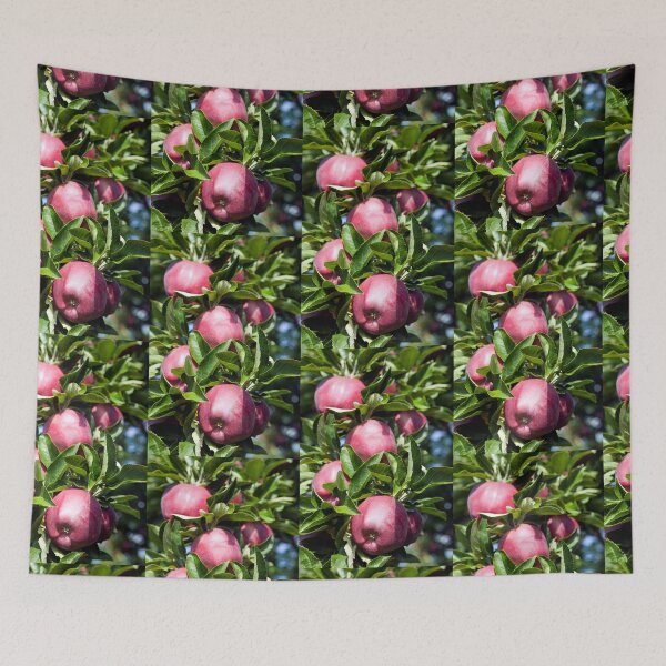 Item preview, Ripe Organic Red Delicious Apple Tree Orchard Okanagan Valley designed and sold by Kevin Miller Photography.