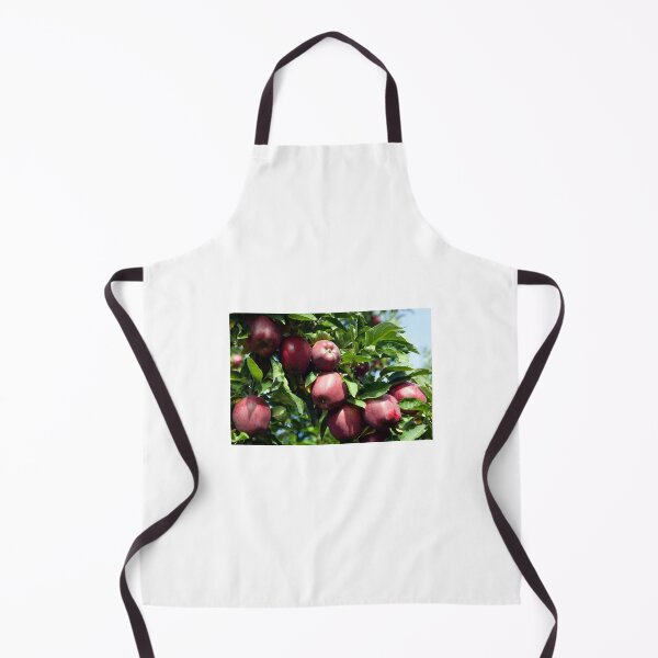 Item preview, Ripe Organic Red Delicious Apple Tree Orchard Okanagan Valley designed and sold by Kevin Miller Photography.