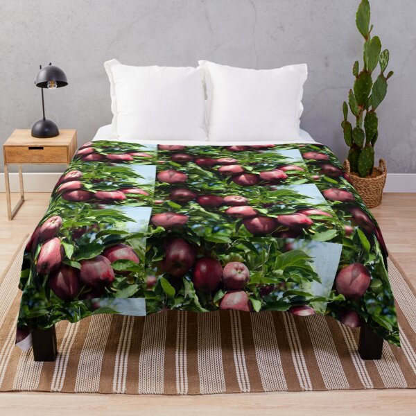 Item preview, Ripe Organic Red Delicious Apple Tree Orchard Okanagan Valley designed and sold by Kevin Miller Photography.