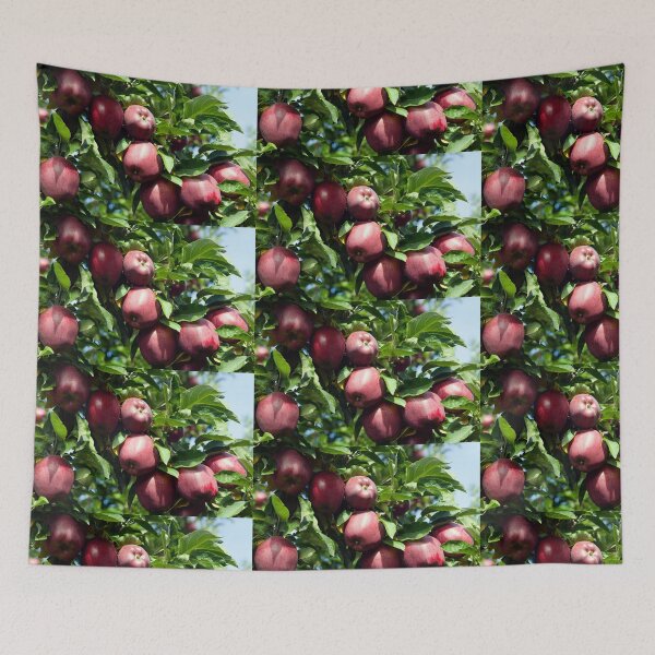 Item preview, Ripe Organic Red Delicious Apple Tree Orchard Okanagan Valley designed and sold by Kevin Miller Photography.