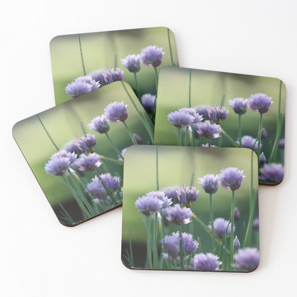 Item preview, Chives in bloom designed and sold by ANAEZ.