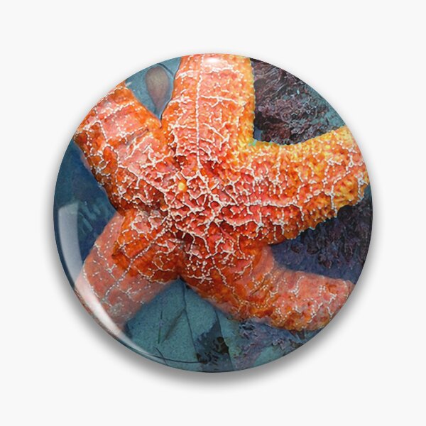 Item preview, Orange Starfish in Blue Waters Art Photo designed and sold by DEC02.