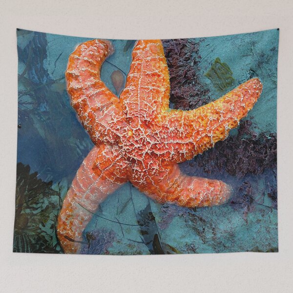 Item preview, Orange Starfish in Blue Waters Art Photo designed and sold by DEC02.