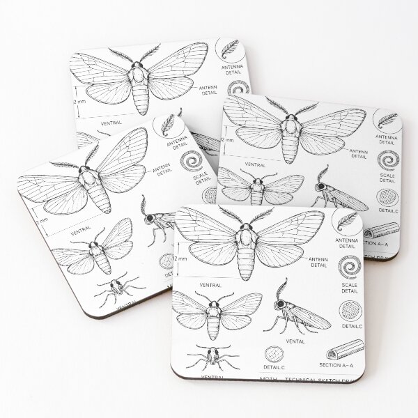Item preview, Moth – Scientific Technical Sketch Drawing – Vintage Entomology Illustration designed and sold by Pixel-Up.