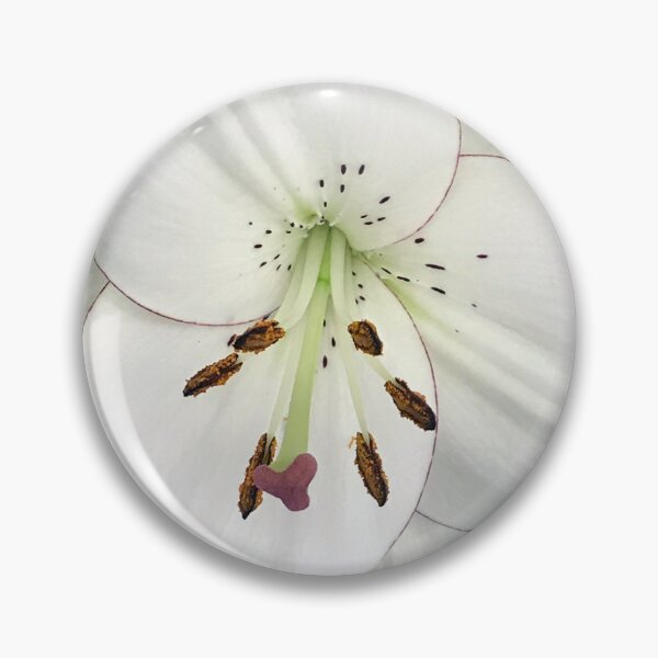 Item preview, Large, Luxurious Single White Lily Art Photo designed and sold by DEC02.