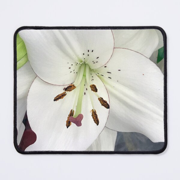 Item preview, Large, Luxurious Single White Lily Art Photo designed and sold by DEC02.