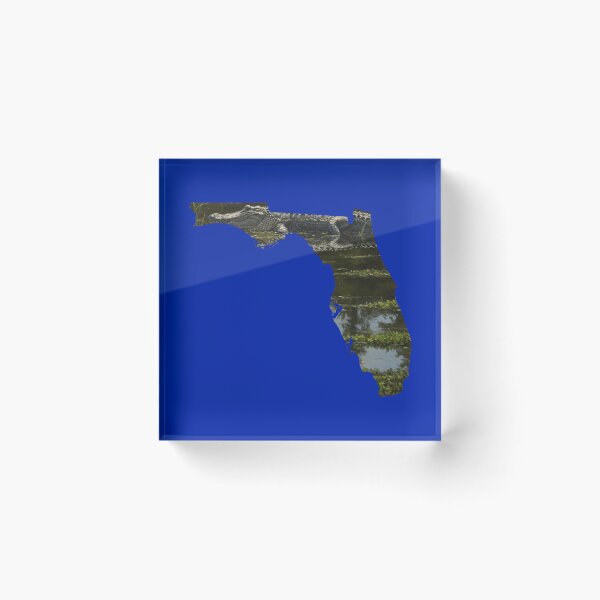 Item preview, Gator in Florida Swamp designed and sold by Douglas-Depot.