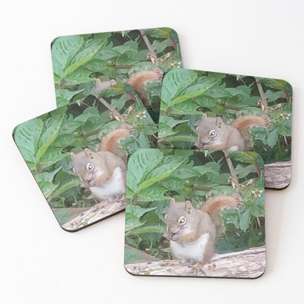 Item preview, Just a Squirrel. designed and sold by Plokking.