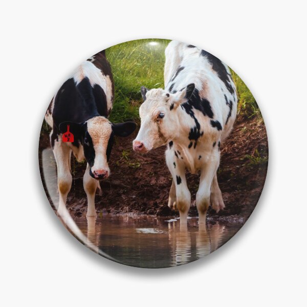 Item preview, Holstein Eden 2 designed and sold by Jim Love.