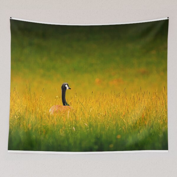 Item preview, We All Need Our Space designed and sold by Jim Love.