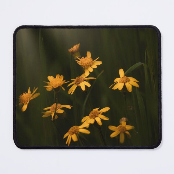 Item preview, Soft Light designed and sold by Jim Love.