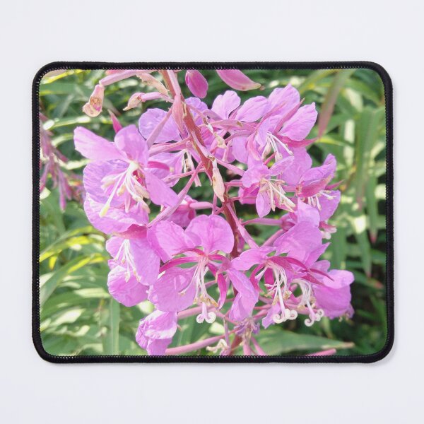 Item preview, Rosebay designed and sold by Plokking.