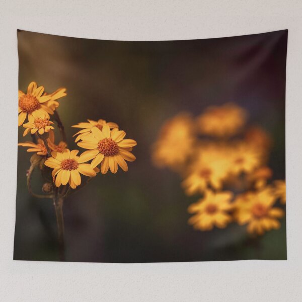 Item preview, Soft Light 2 designed and sold by Jim Love.