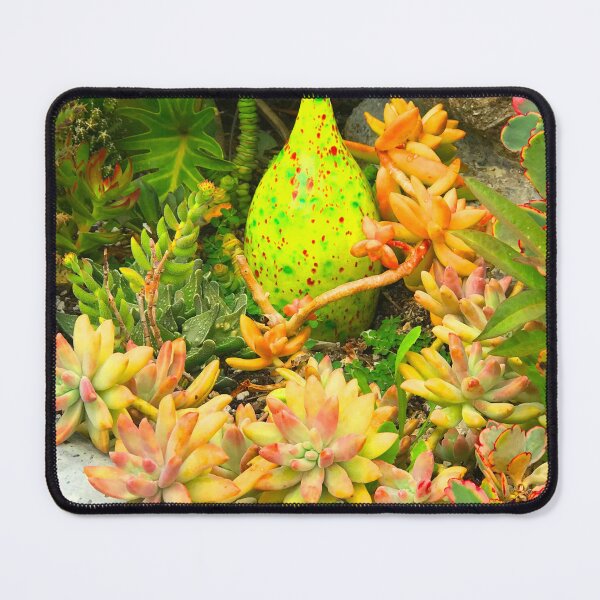 Item preview, Contemporary, Colorful Succulents in Vintage Clay Pot Art Photo designed and sold by DEC02.