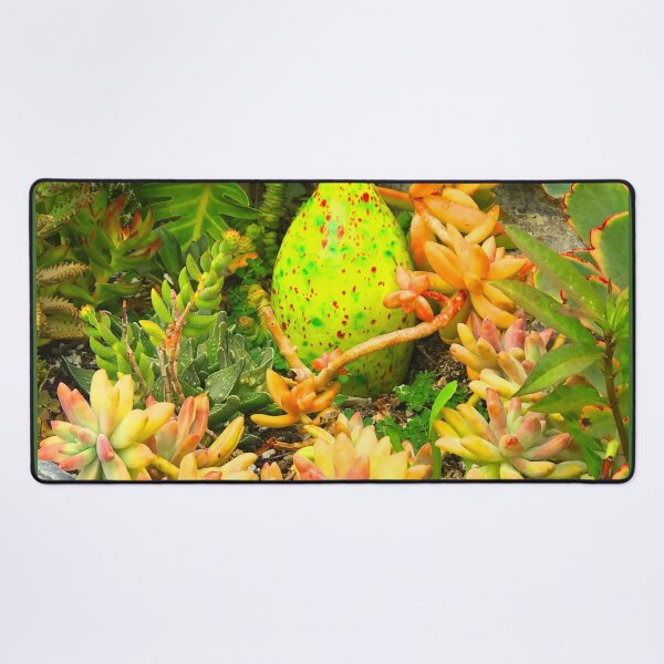 Item preview, Contemporary, Colorful Succulents in Vintage Clay Pot Art Photo designed and sold by DEC02.
