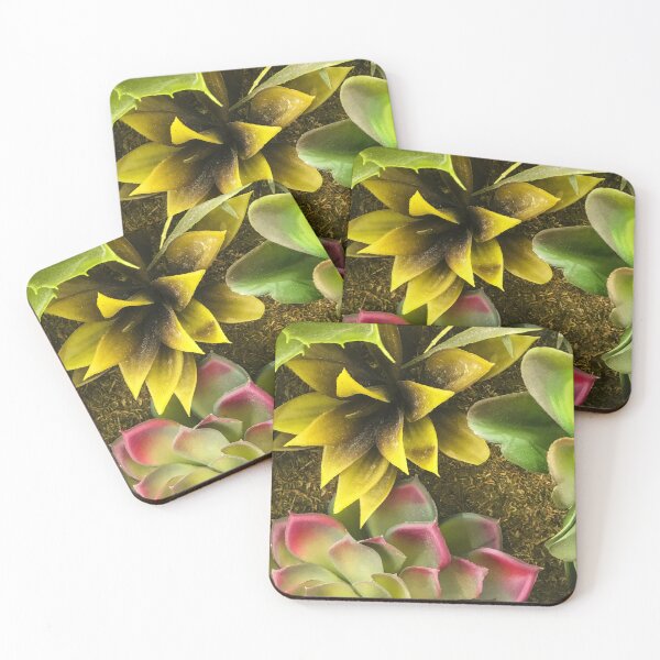 Item preview, Sassy Succulent Succulents Art Photo designed and sold by DEC02.