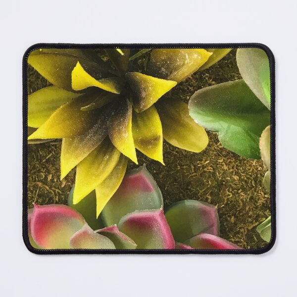 Item preview, Sassy Succulent Succulents Art Photo designed and sold by DEC02.