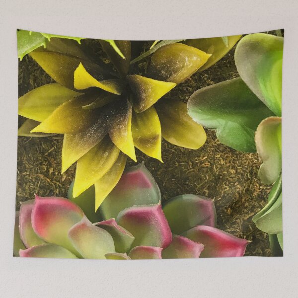 Item preview, Sassy Succulent Succulents Art Photo designed and sold by DEC02.