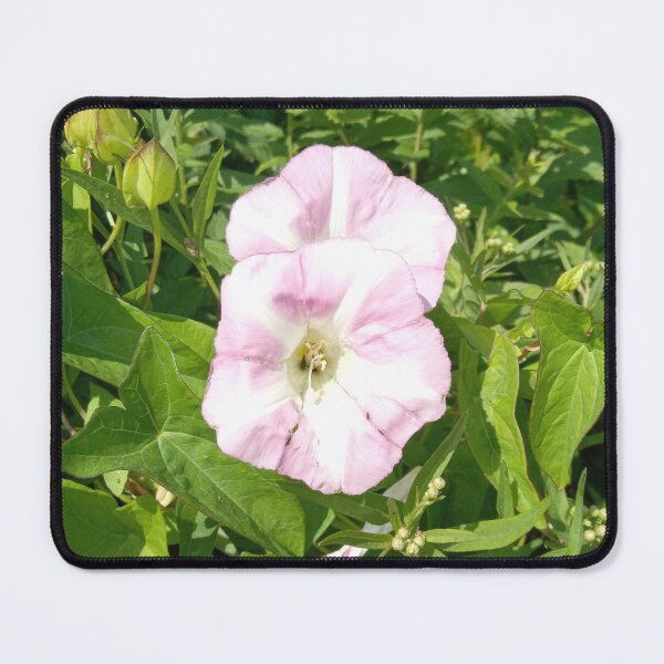 Item preview, Hedge Bindweed designed and sold by Plokking.