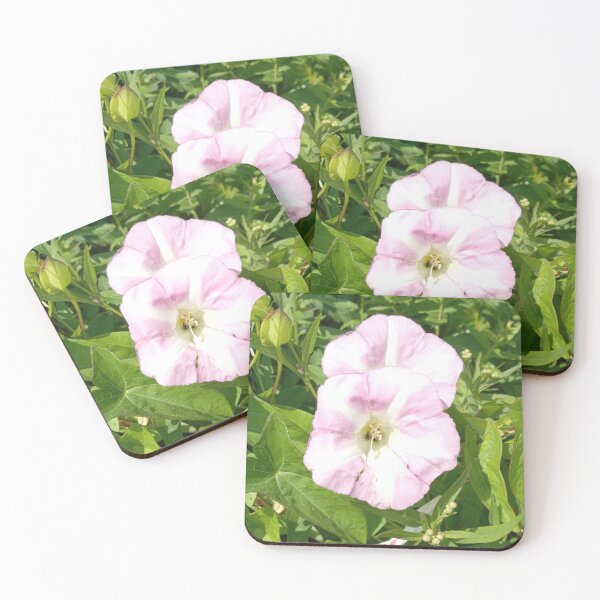 Item preview, Hedge Bindweed designed and sold by Plokking.