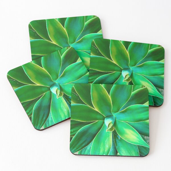 Item preview, Elegant Sophisticated Succulent Art Photo designed and sold by DEC02.