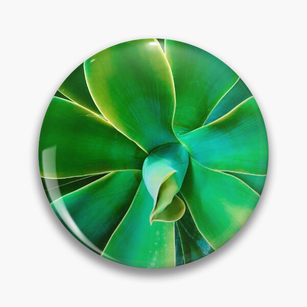Item preview, Elegant Sophisticated Succulent Art Photo designed and sold by DEC02.