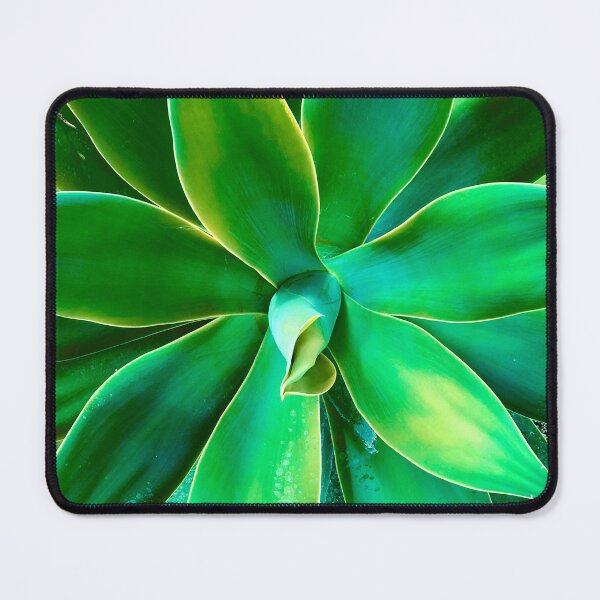 Item preview, Elegant Sophisticated Succulent Art Photo designed and sold by DEC02.
