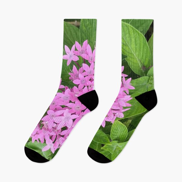 Item preview, Pink Starburst Flowers Nestled in Green Leaves Photo designed and sold by DEC02.