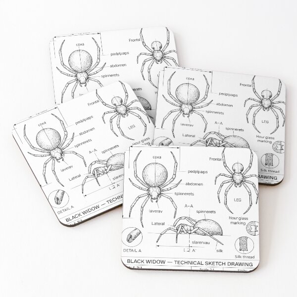 Item preview, Black Widow Spider – Scientific Technical Sketch Drawing – Vintage Entomology Illustration designed and sold by Pixel-Up.
