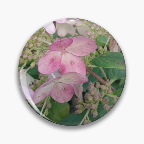 Item preview, Panicle Hydrangea designed and sold by Plokking.