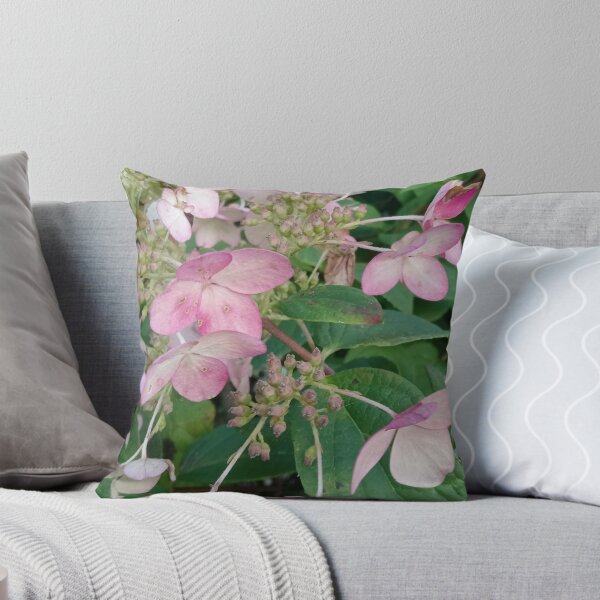 Item preview, Panicle Hydrangea designed and sold by Plokking.