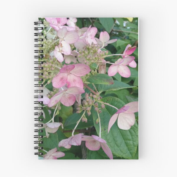 Item preview, Panicle Hydrangea designed and sold by Plokking.