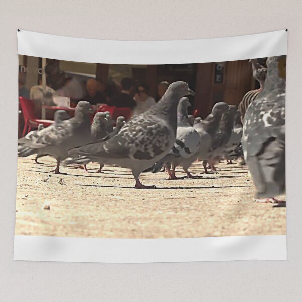 Item preview, Pigeons designed and sold by DjeriK.