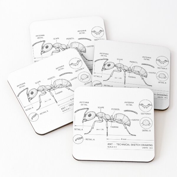 Item preview, Ant – Scientific Technical Sketch Drawing – Vintage Entomology Illustration designed and sold by Pixel-Up.